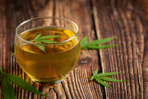 ¿Cómo se toman las infusiones cbd? [Guía Completa]