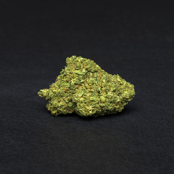 G-13 TOP Hidro