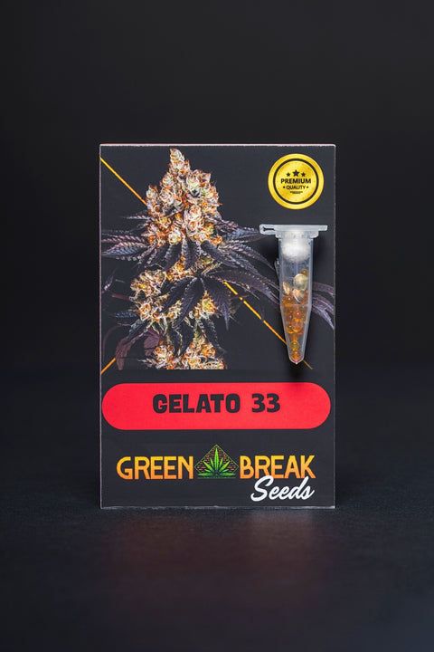 Gelato 33 pack 3 (THC)