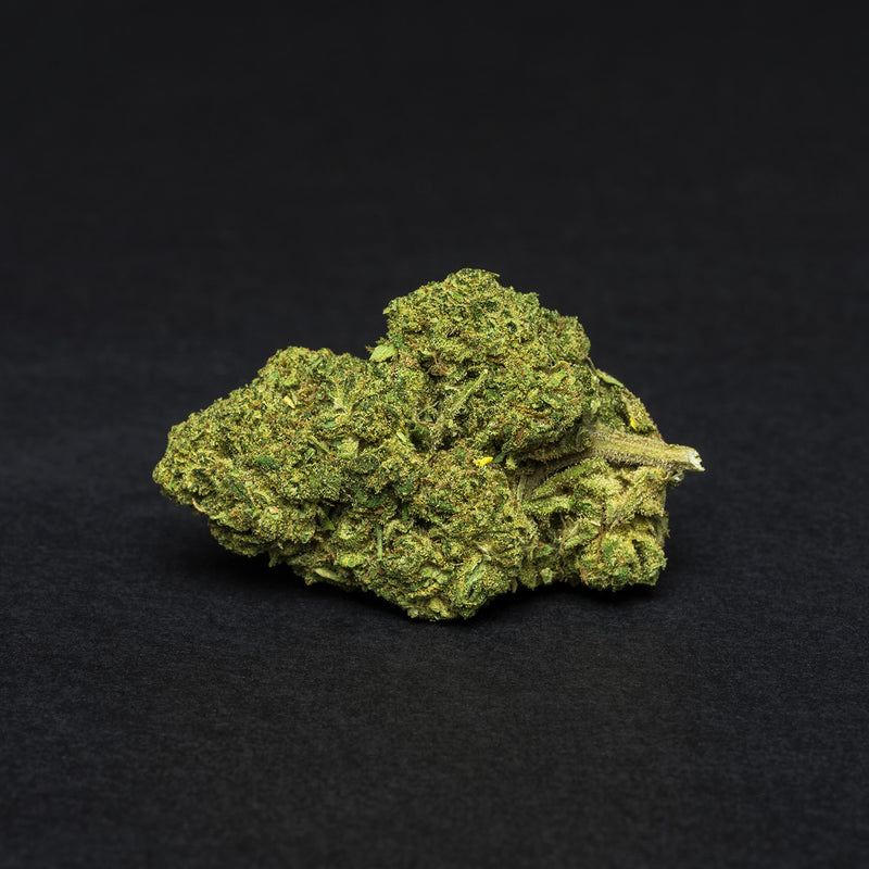 Comprar Critical Cheese Indoor CBD en Viladecans