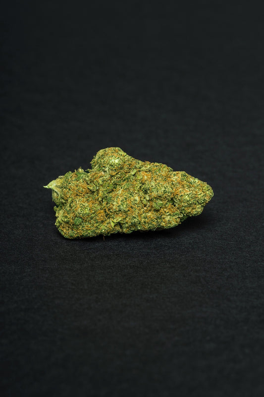 Sour Diesel Hidropónico