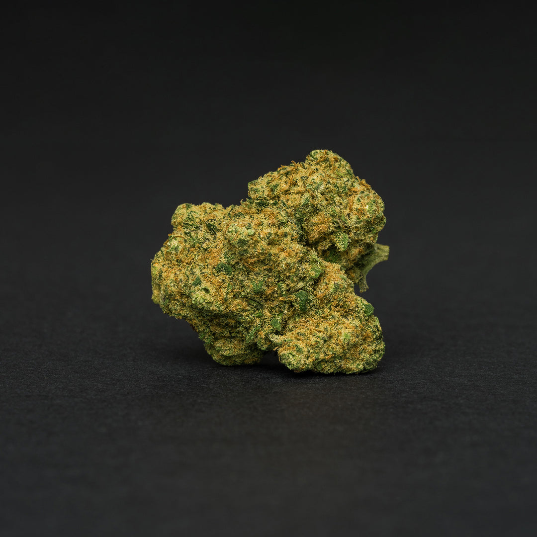 Blueberry TOP Hidro