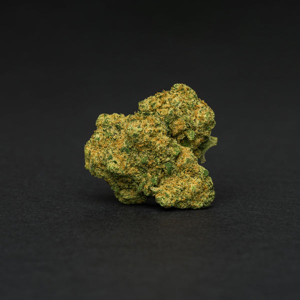 Blueberry TOP Hidro