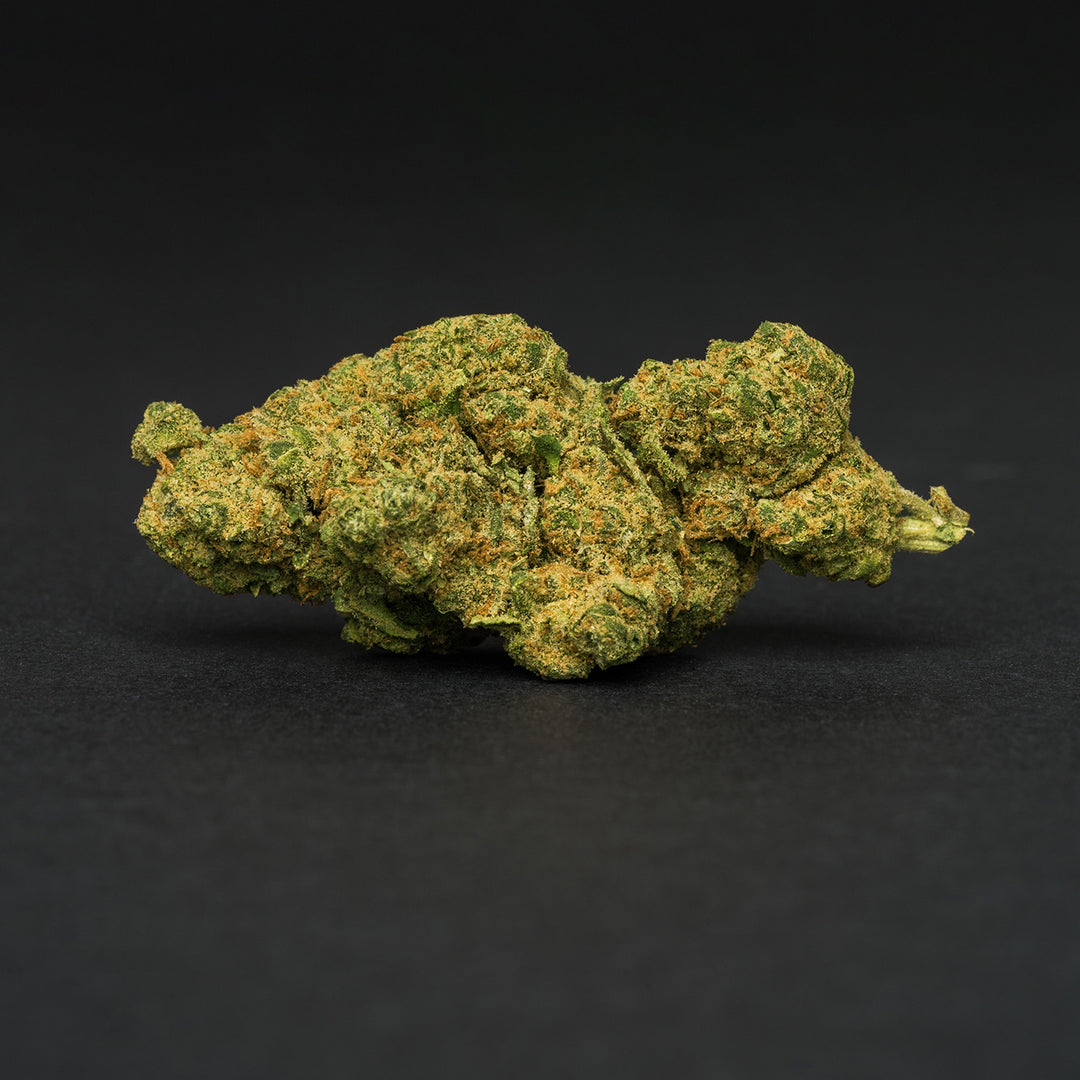 Tropicana Cookies TOP Hidro